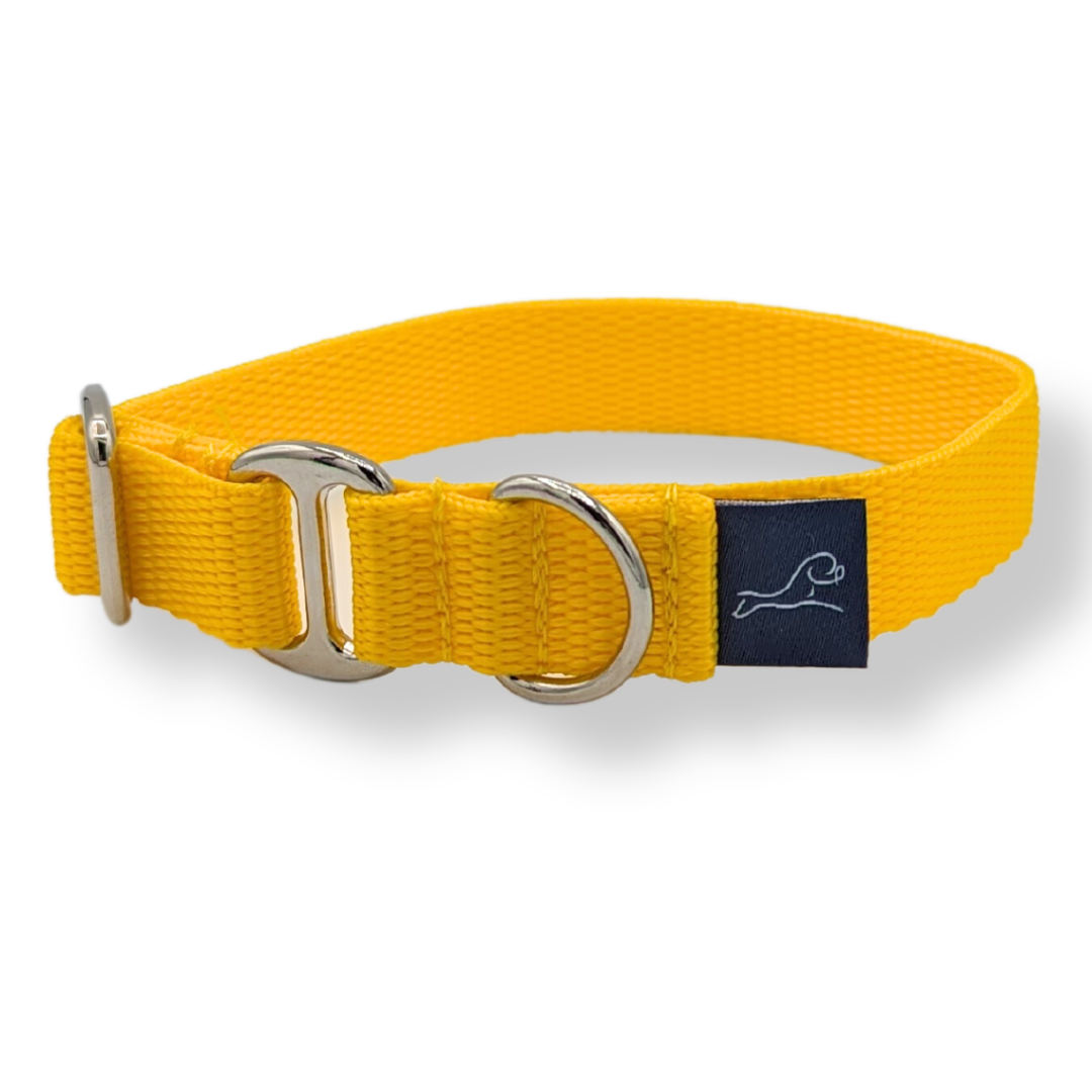 Puppy House Collar