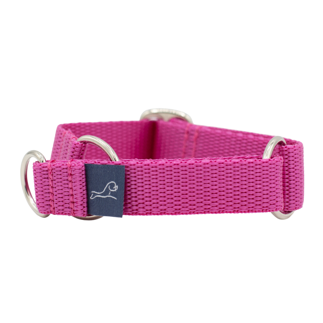 Puppy Martingale Collar