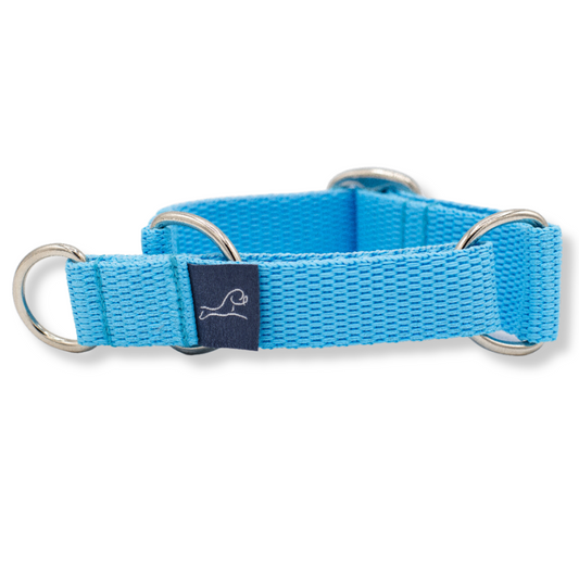 Puppy Martingale