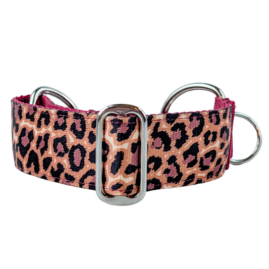 Luxe Martingale Collar - Leopard