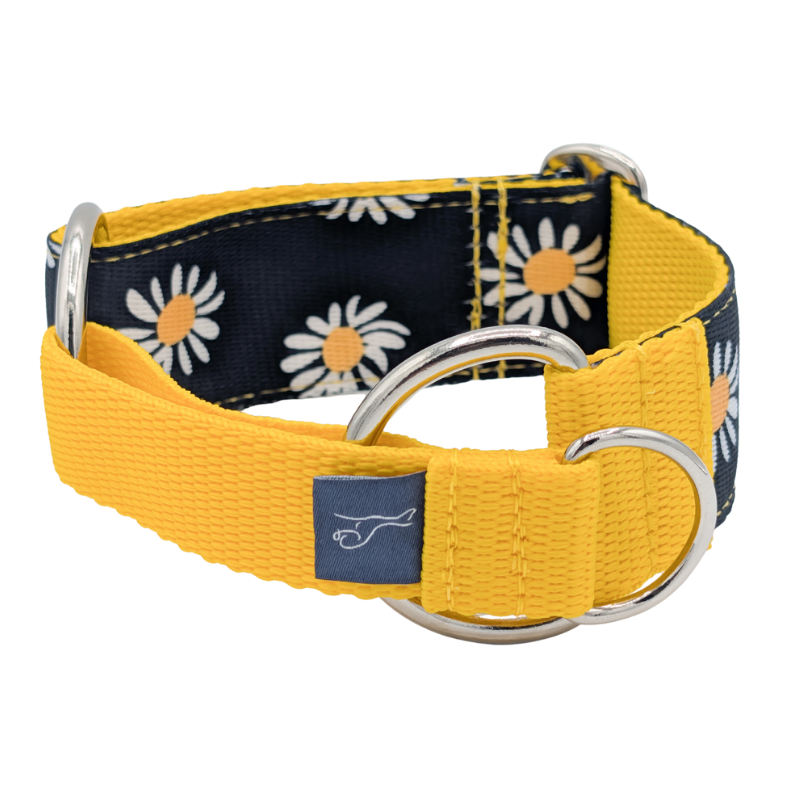 Luxe Martingale Collar - Daisy
