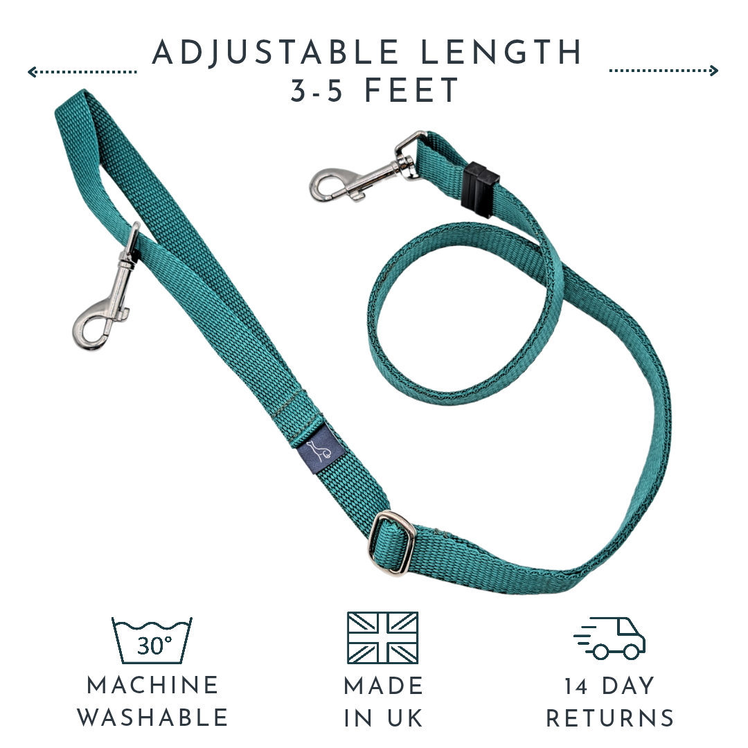 Adjustable Lead