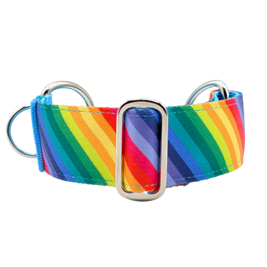 Luxe Martingale Collar - Rainbow