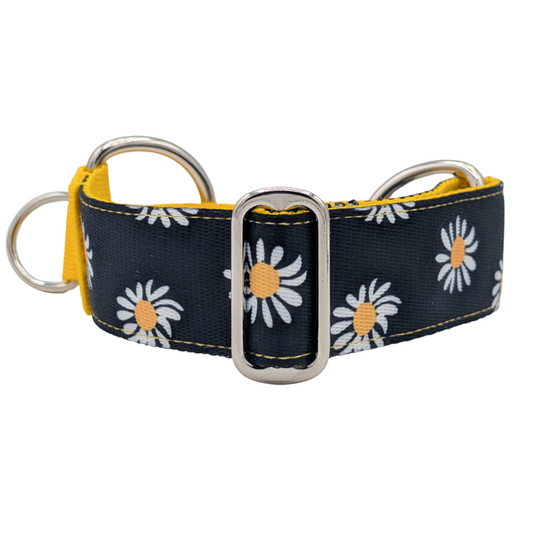 Luxe Martingale Collar - Daisy