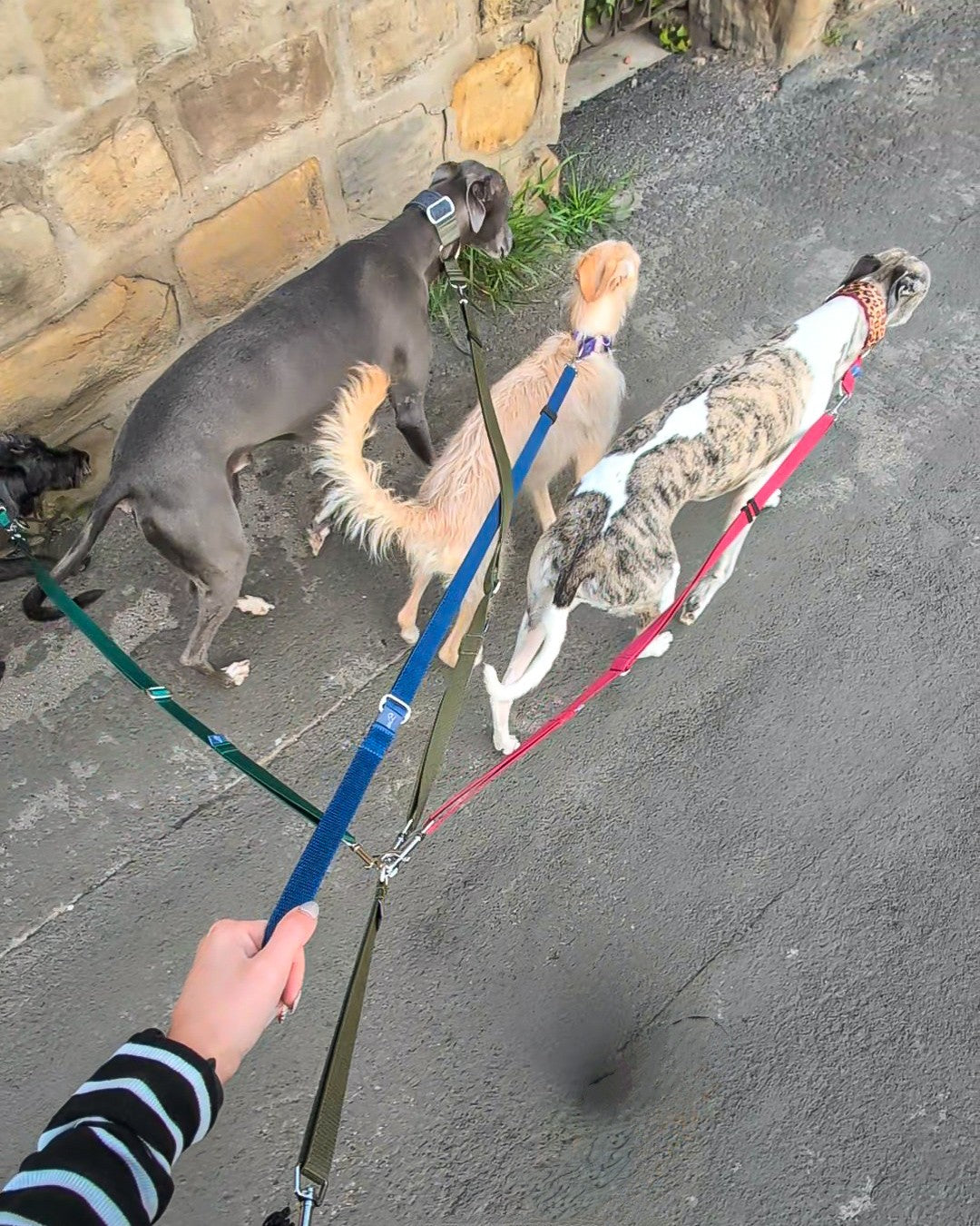 Leads