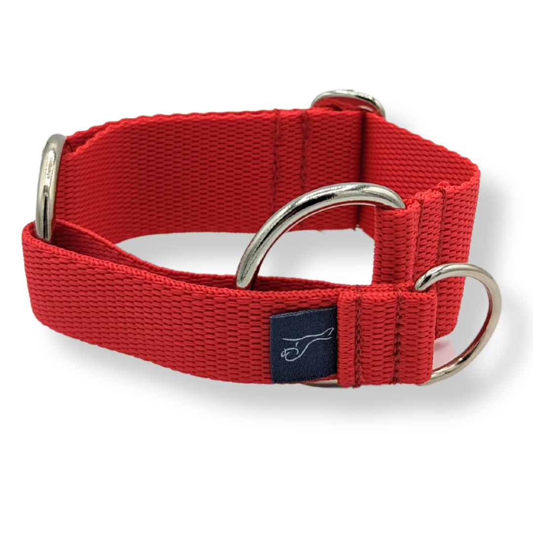 Martingale dog shop collar with buckle