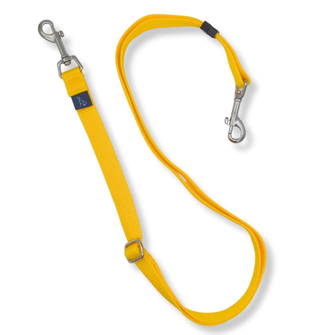 Multi length dog sales lead