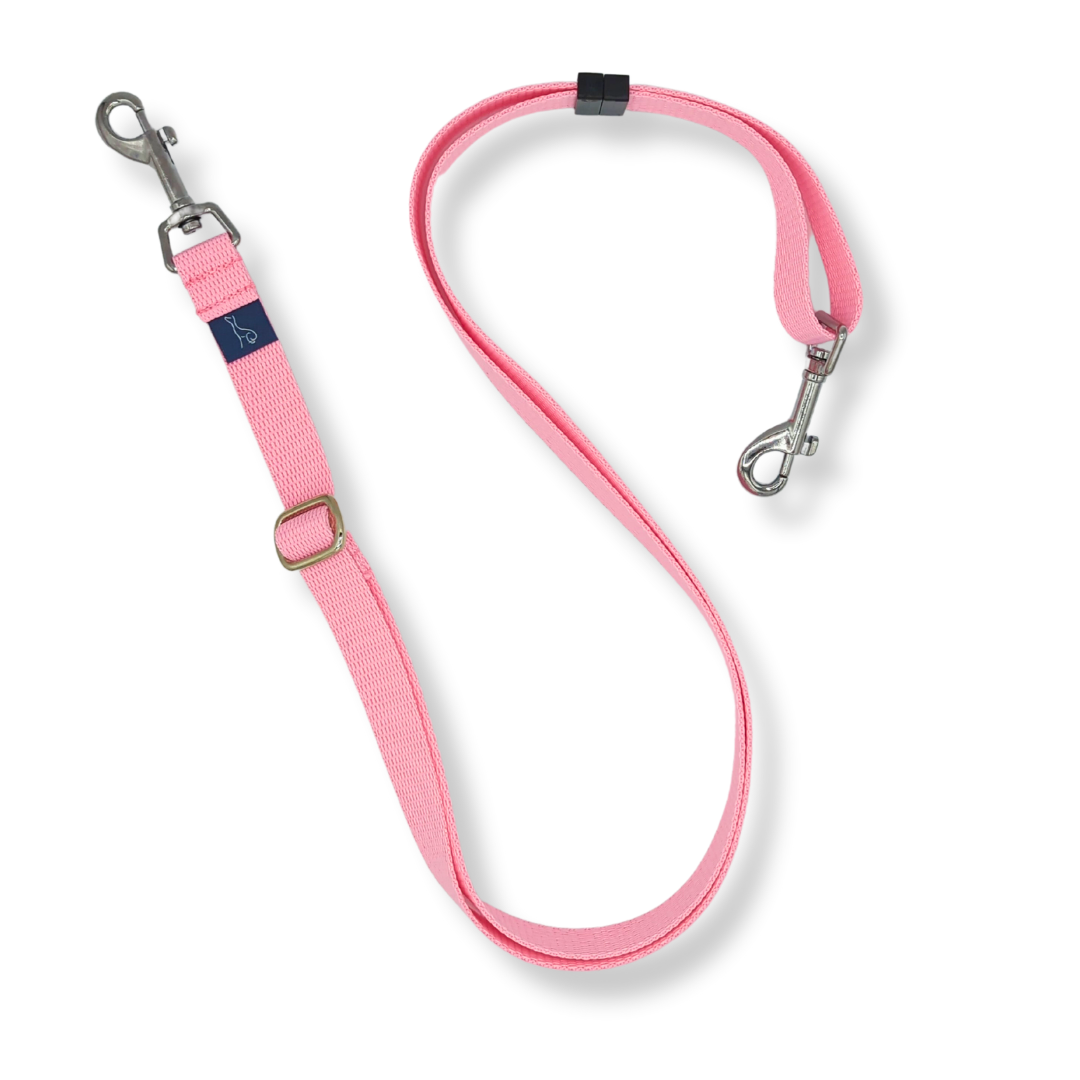 Multi handle top dog lead
