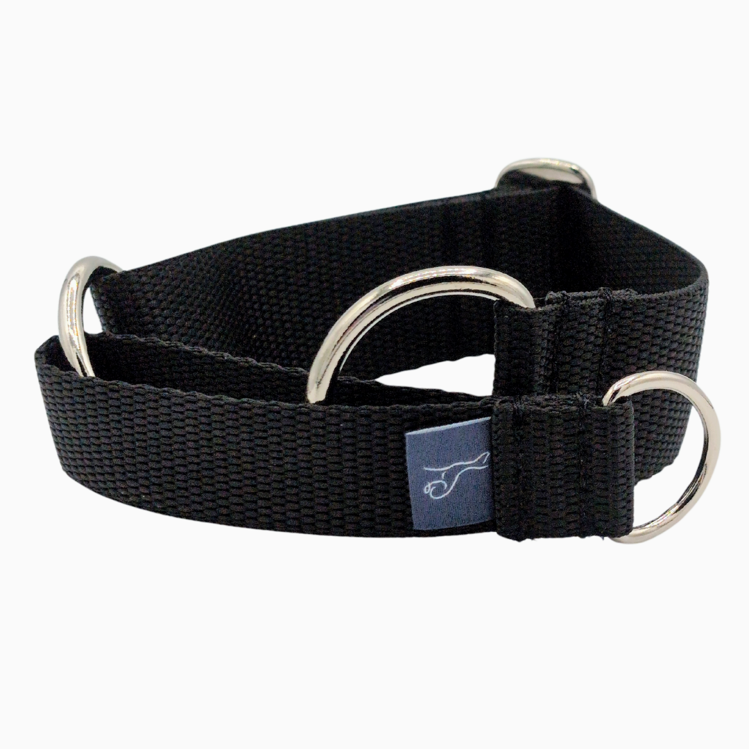 Classic Martingale