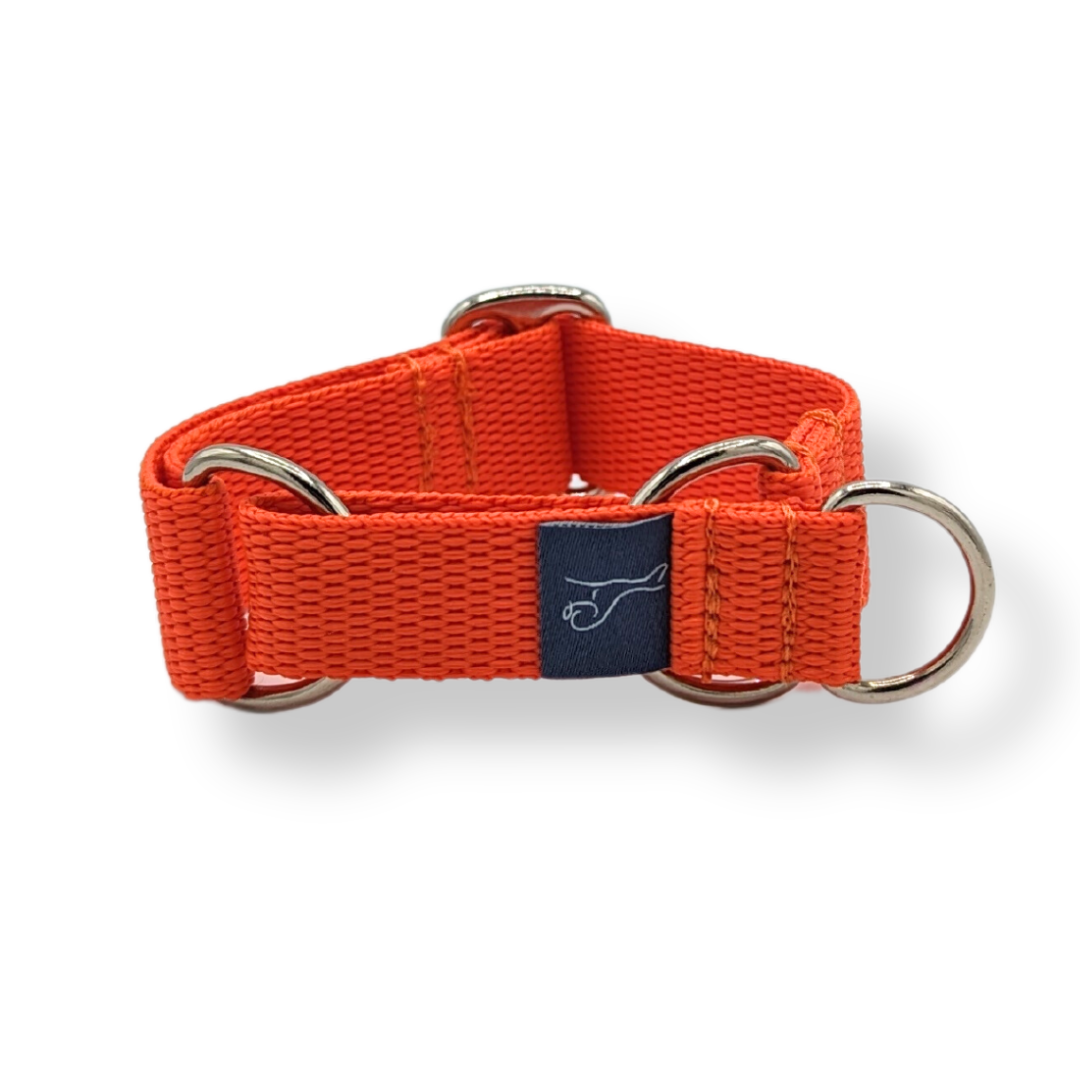 Martingale collar top with buckle