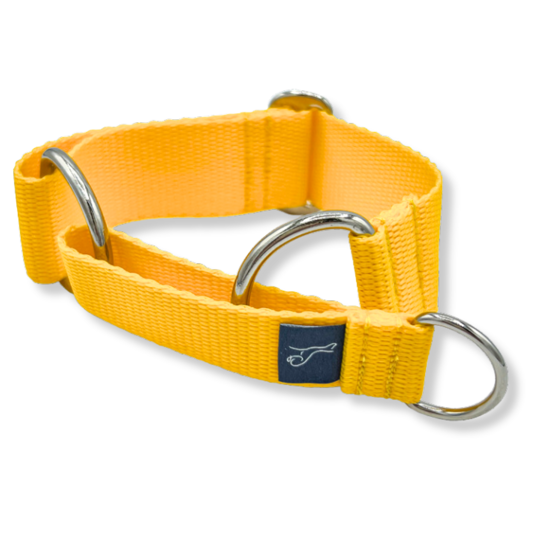 Martingale hotsell with buckle