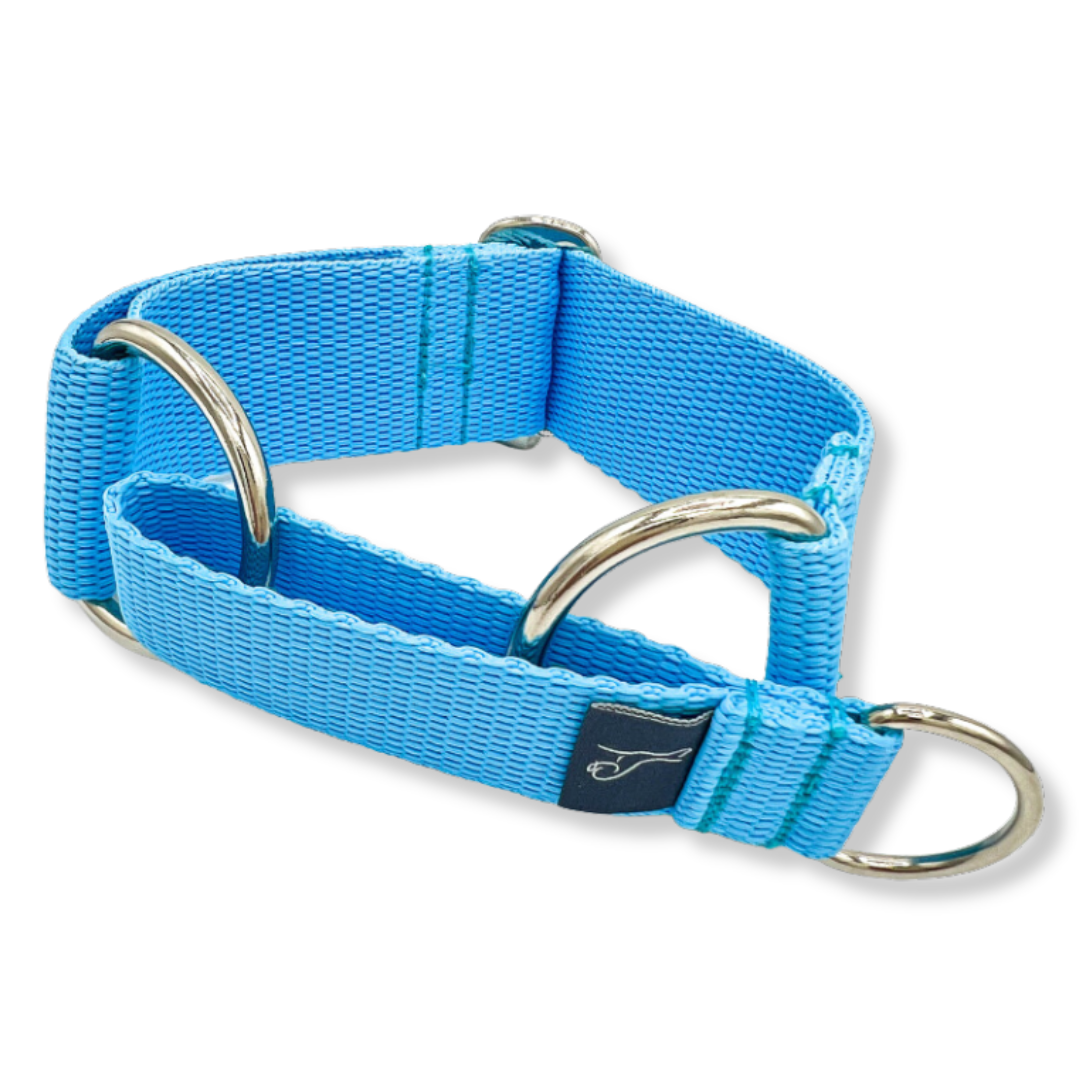 Martingale collar and outlet leash