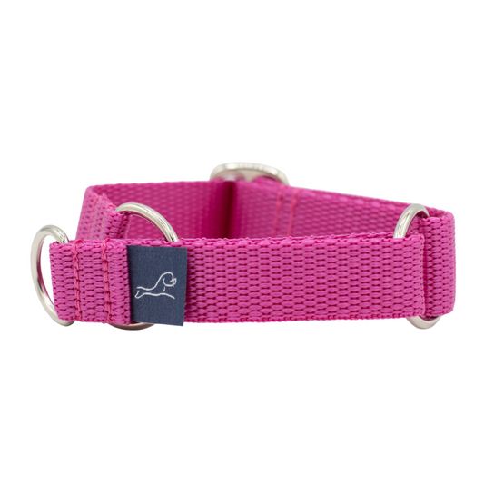 Puppy Martingale