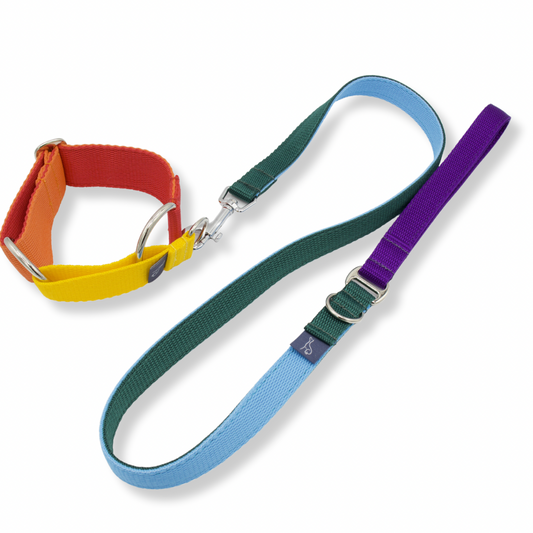 Rainbow Martingale and Lead Set