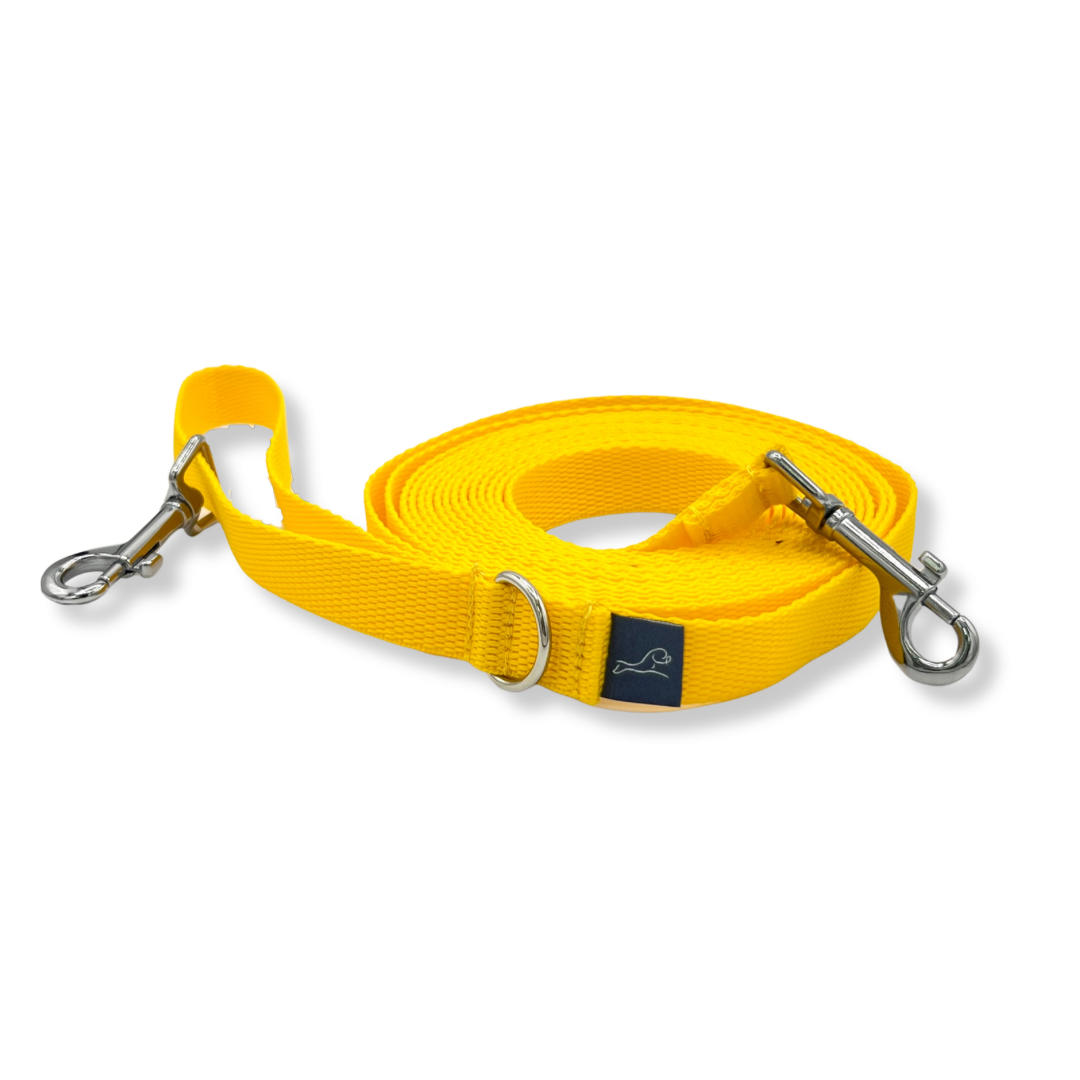 16 foot Adventure Lead