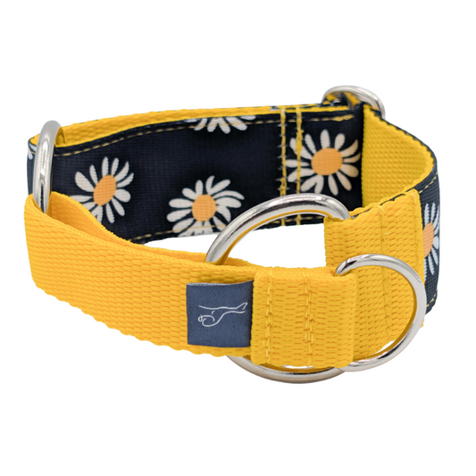 Luxe Martingale Collar - Daisy