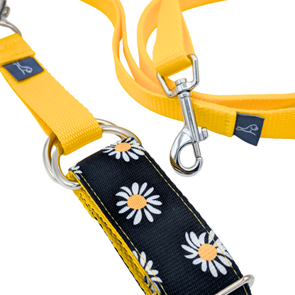 Luxe Martingale Collar - Daisy