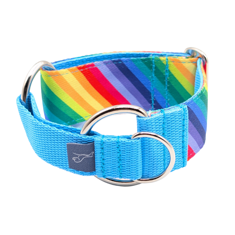 Luxe Martingale Collar - Rainbow