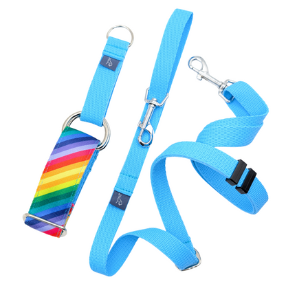 Luxe Martingale Collar - Rainbow