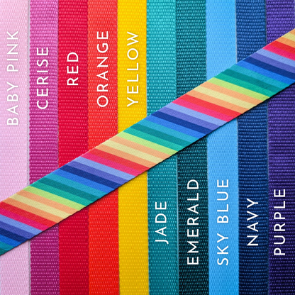 Luxe Martingale Collar - Rainbow