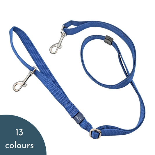Adjustable Lead