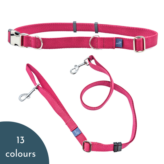 Hands Free Lead Set